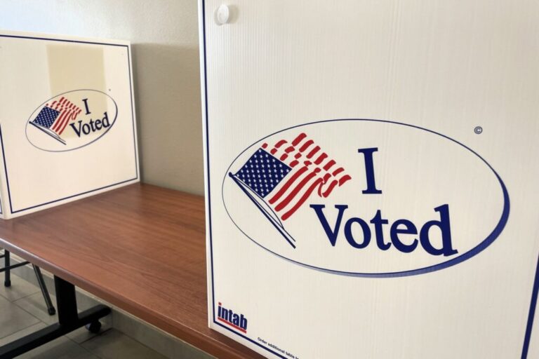 Midterms will likely see increased misinformation, reduced federal security activity, experts say