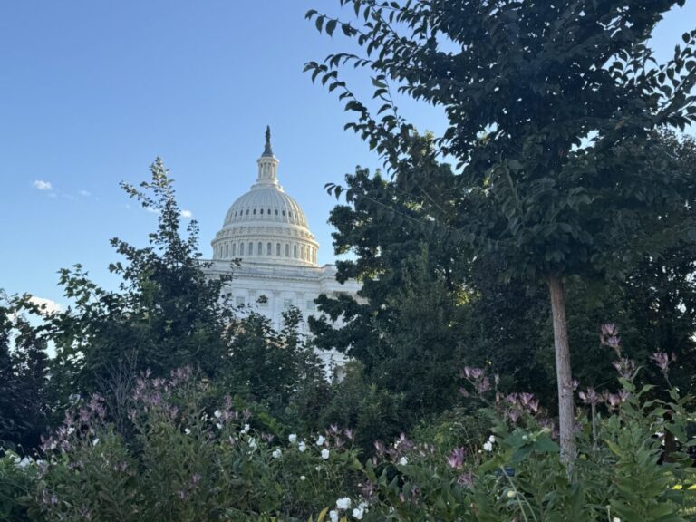 One stopgap after another: Shutdown puts Congress on the verge of failed spending process