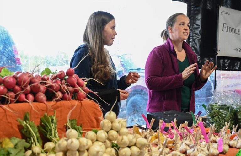 Safety net policies don’t catch every Missouri farmer