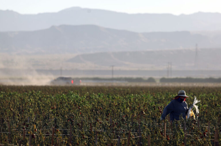 Farmworkers sue over Trump’s low wages for foreign guest workers