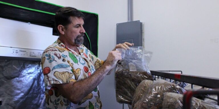 USDA defunded a program that helped Missouri farmers. What’s next for those who relied on it? 