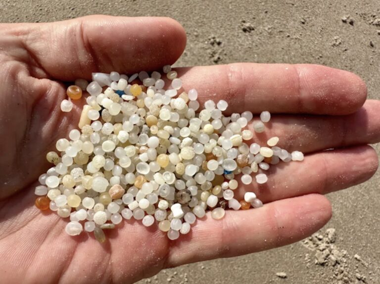 Plastic pellets known as ‘nurdles’ are polluting beaches and waterways