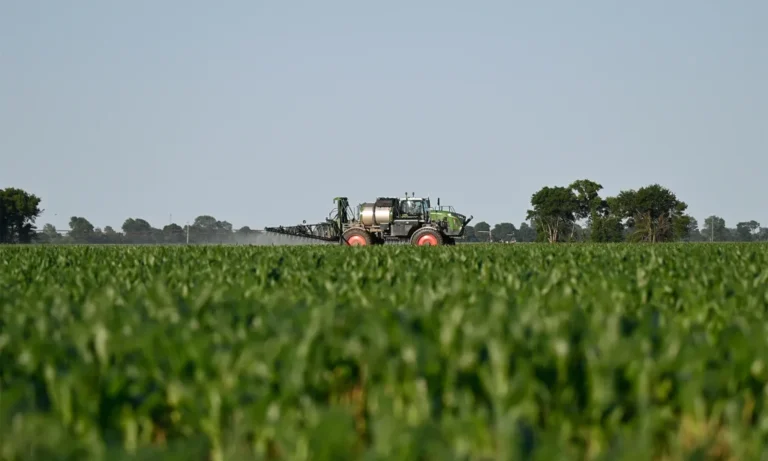 Counties with heaviest pesticide use see higher late-stage lymphoma rates