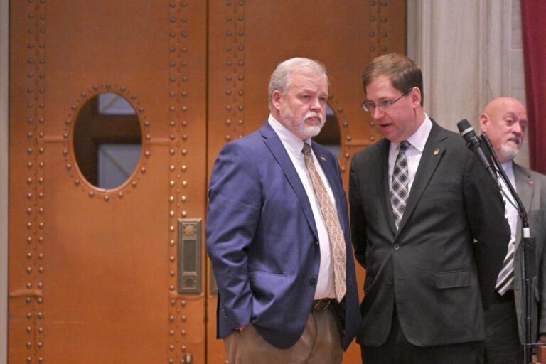 Plan to put Medicaid work requirements in state Constitution draws public opposition