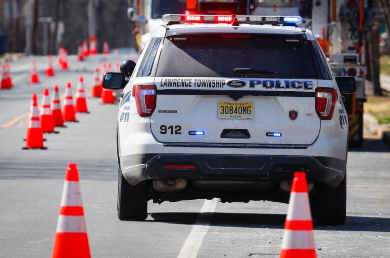 Fatal police violence may have declined for the first time in years