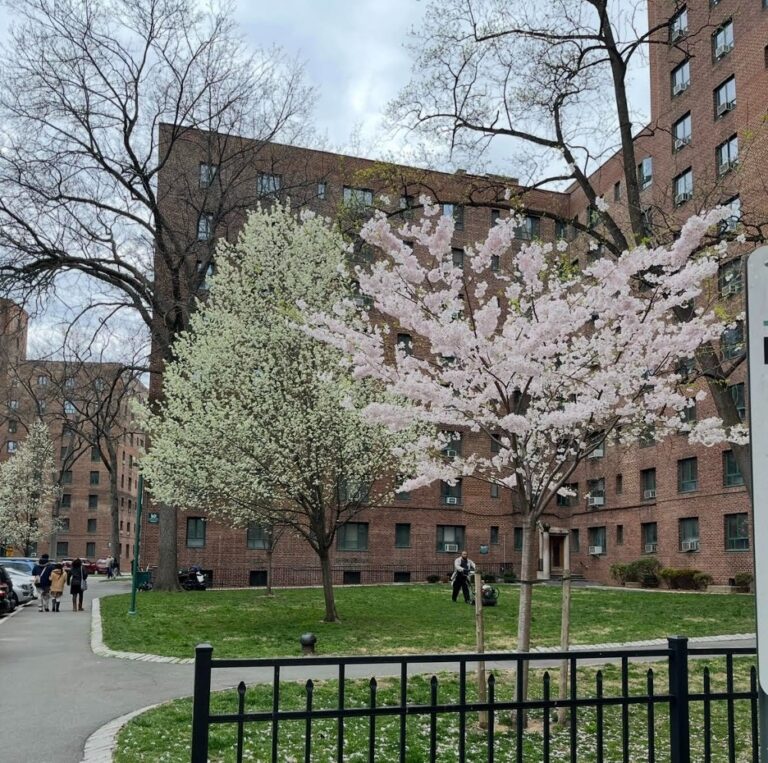 Emergency housing vouchers are ending early, leaving cities and renters scrambling